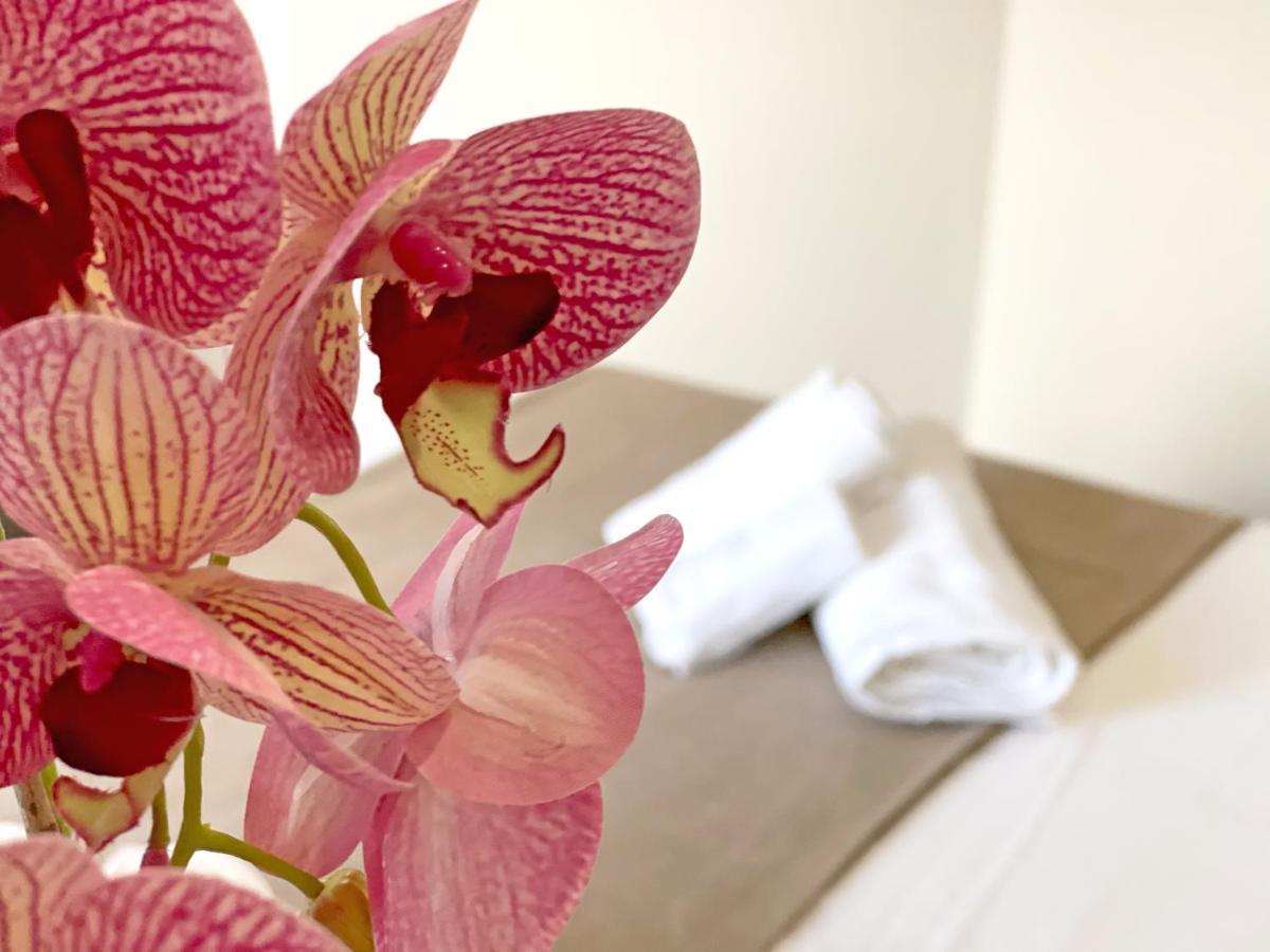 B & B Vilenia サン・ニコーラ・アルチェッラ エクステリア 写真